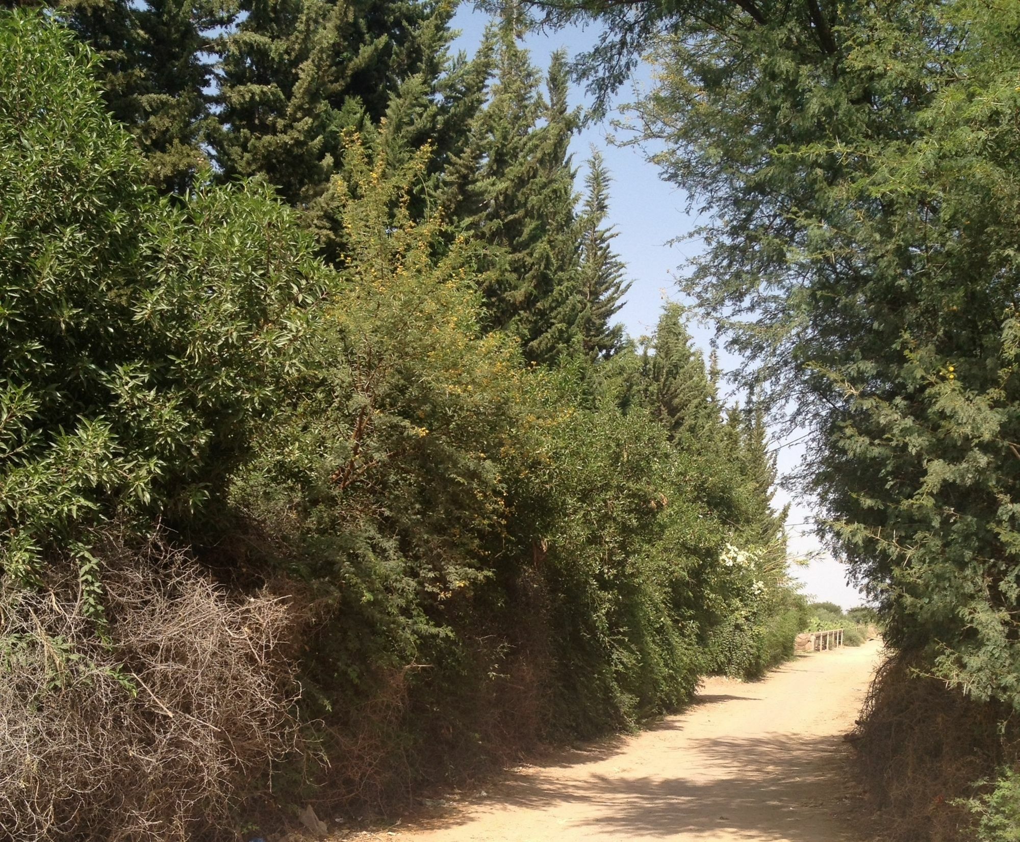 Le Jardin Touagana - Campement & Lodge Touggana Dış mekan fotoğraf
