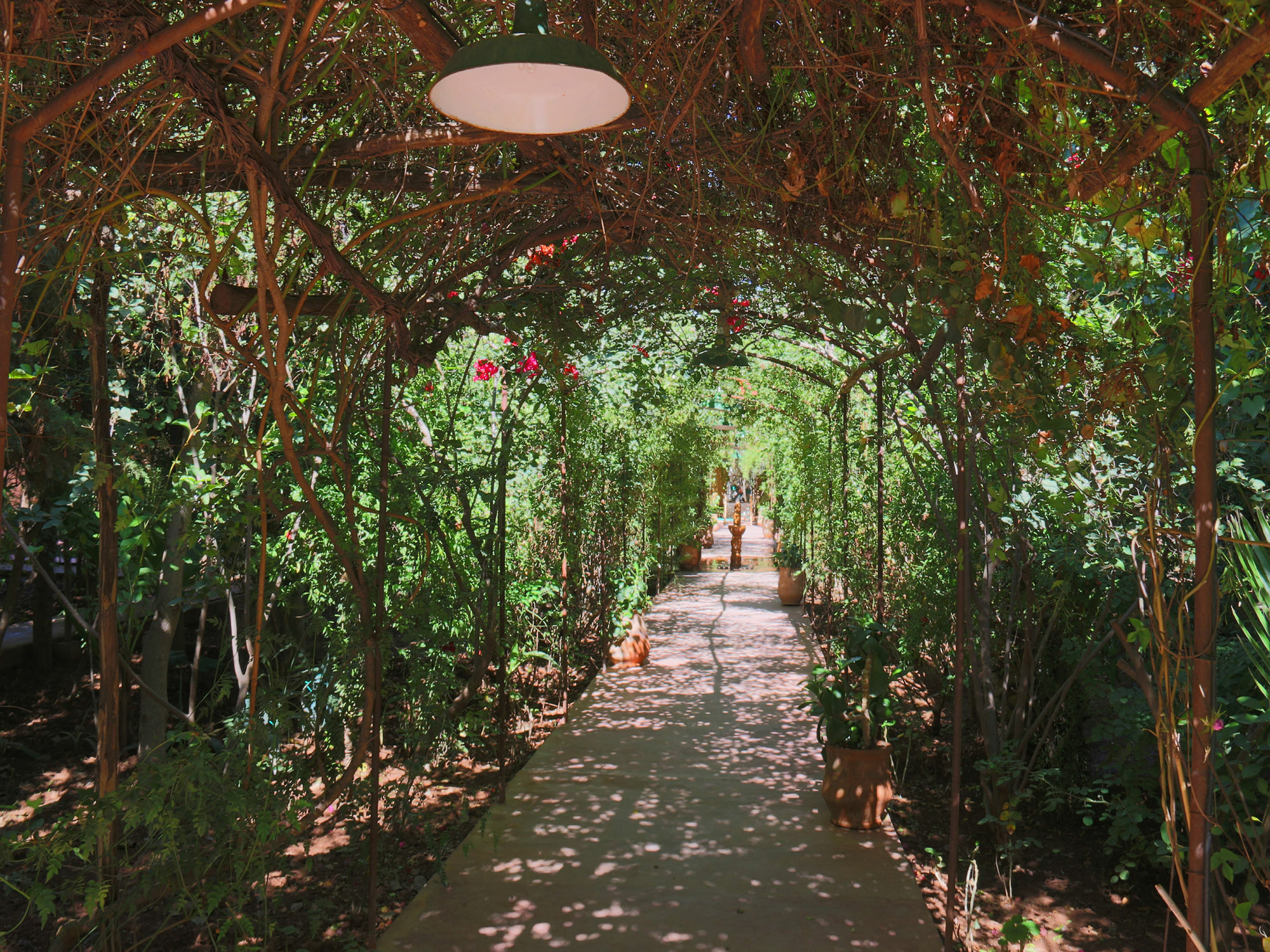 Le Jardin Touagana - Campement & Lodge Touggana Dış mekan fotoğraf
