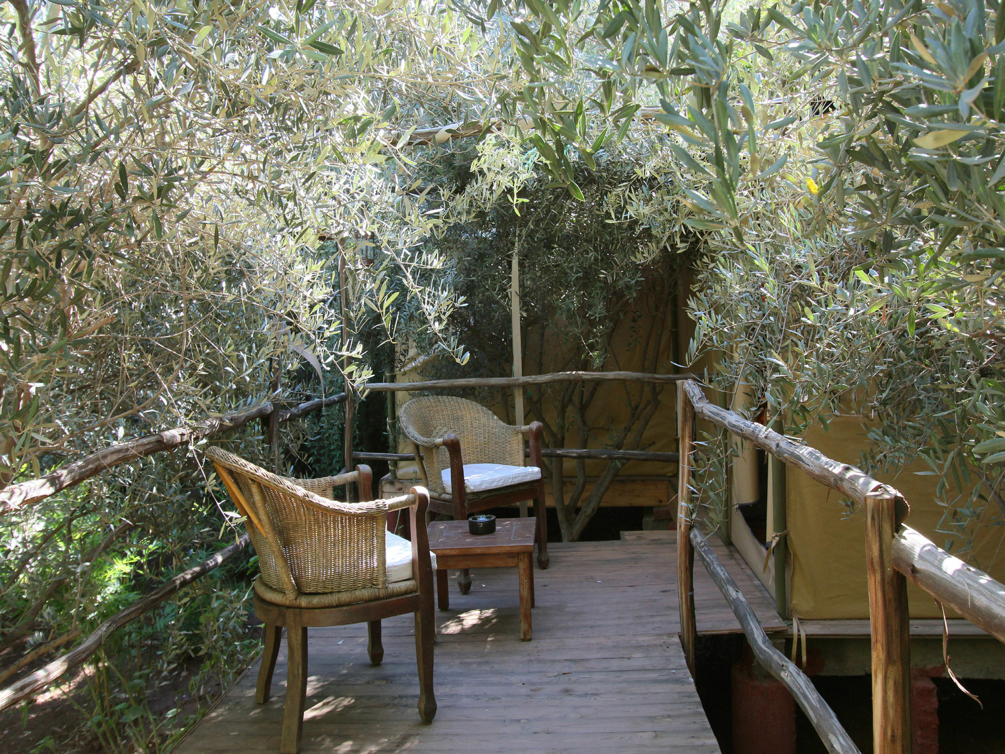 Le Jardin Touagana - Campement & Lodge Touggana Dış mekan fotoğraf